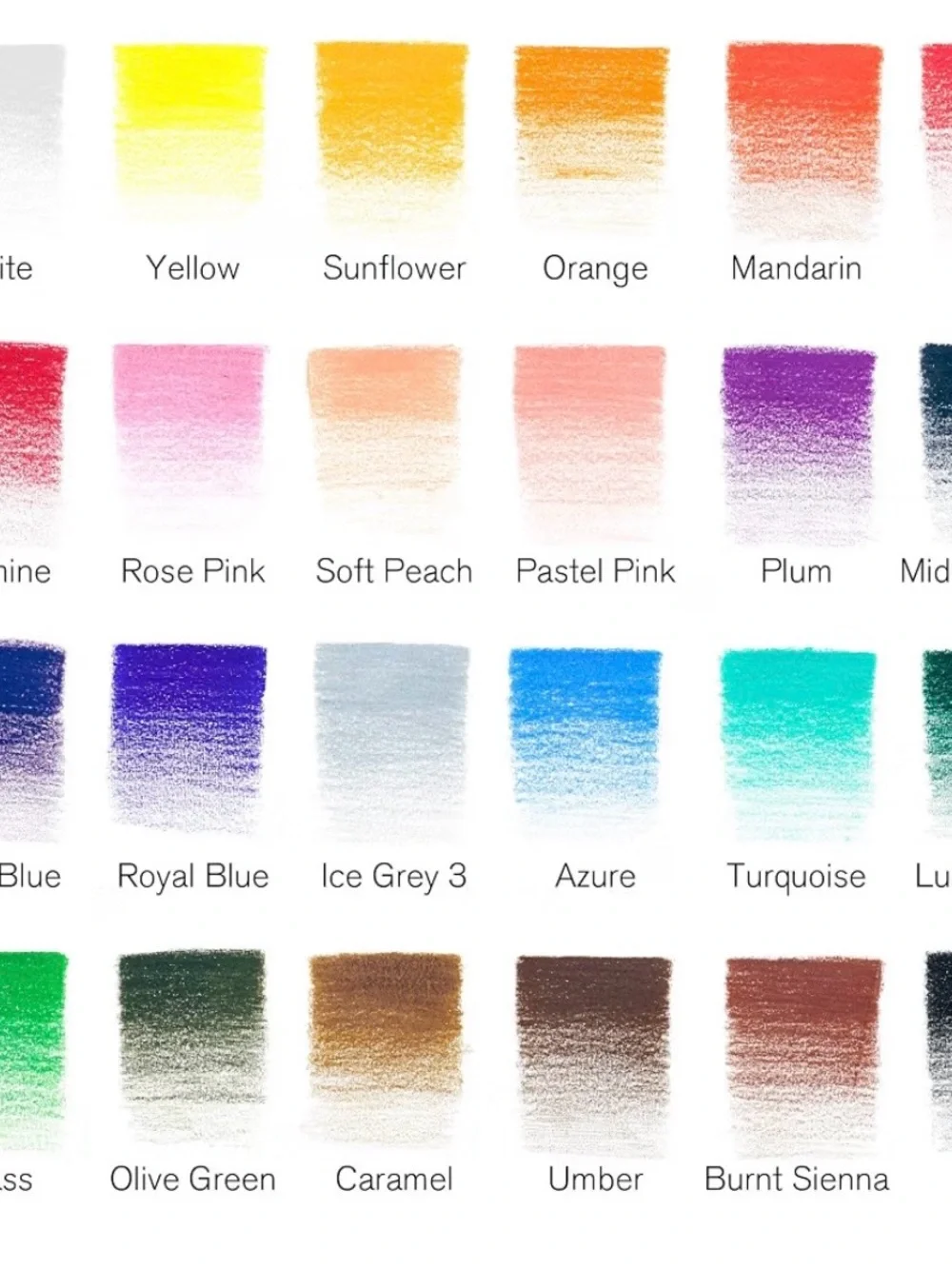 Winsor & Newton rich vibrant